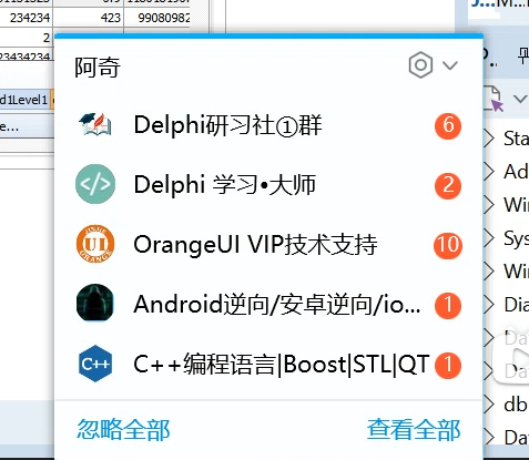 delphi实战开发笔记本20250519