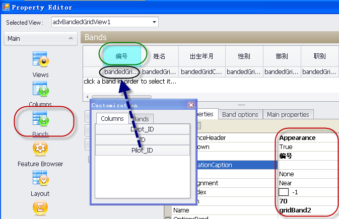 DevExpress控件开发常用知识点全解