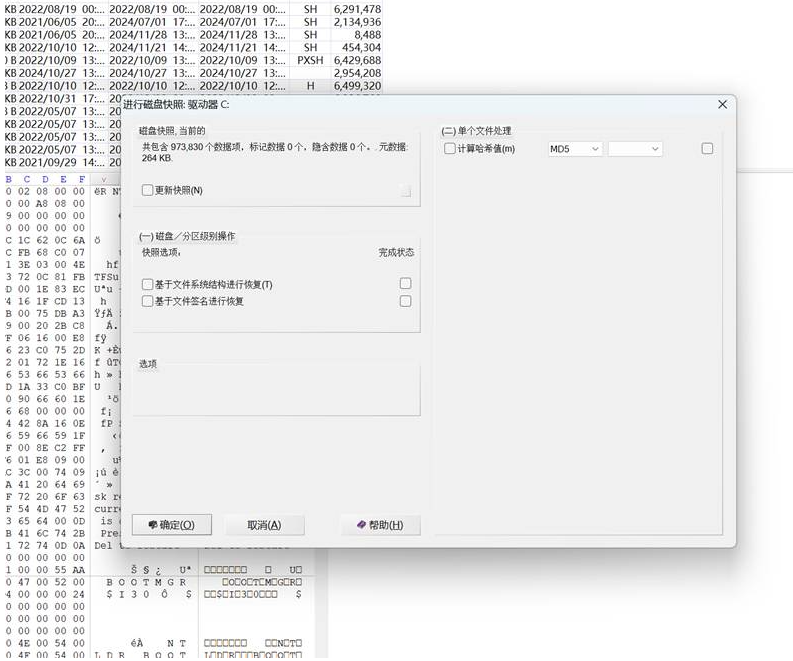 逆向工程与汇编语言之数据恢复(八)