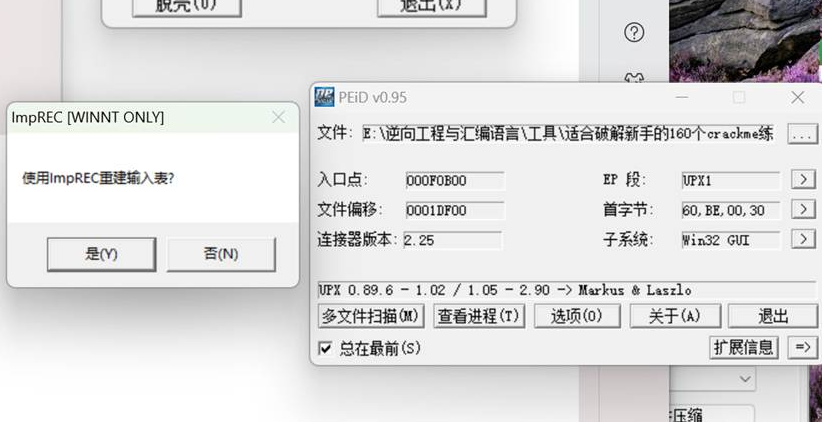 逆向工程与汇编语言之数据恢复(八)