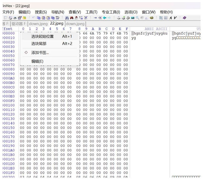 逆向工程与汇编语言之数据恢复(八)